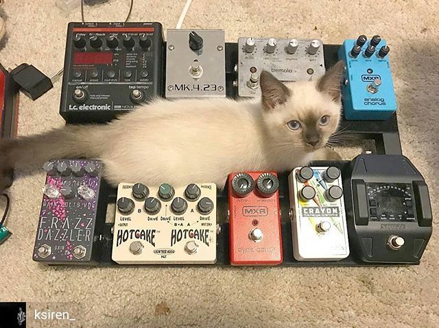 TheRealDrSci's tweet photo. @Regranned from @ksiren_ - Time for a rewire #pedalboard #CatsonAmps #catpedal #fuzzpedal #crowtheraudio #guitar #pedalboardoftheday #cute #creationaudiolabs #mxrpedals #regrann https://t.co/dtybyntMef https://t.co/TZtKxptHUv
