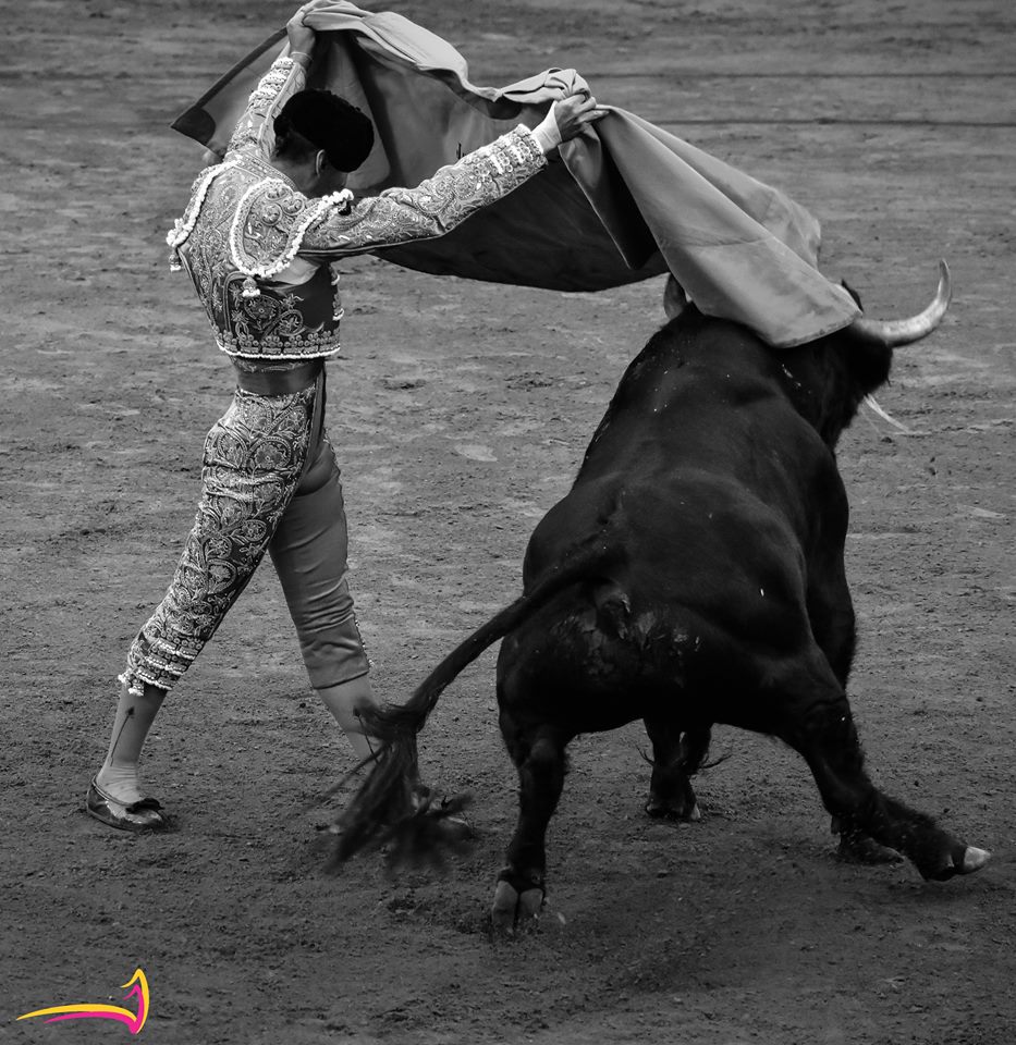 ClarinTaurino's tweet photo. Repasamos la temporada de Manizales, la penultima de feria: @JB_Caicedo y las actuaciones de @infoCastella @ARCILAJOSE y @PrensaARocaRey Cronica de EFE y galeria de #DavidOsorio
https://t.co/S71b8O5kR9 https://t.co/JapXY1zmw9