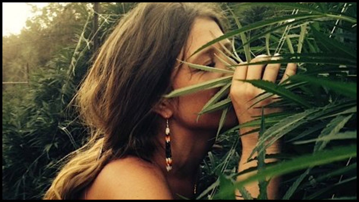 Colorado Based New West Genetics Claim Nations First Certified Hemp Seed Approval by AOSCA westword.com/marijuana/colo… <a href="/Westword/">Lee Smith</a> @MattVanDeventer <a href="/newwestgenetics/">New West Genetics</a> #5280EAE #CleanCannabis