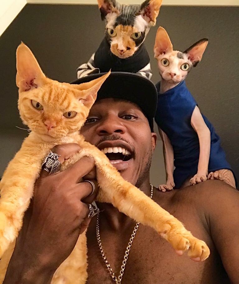 iAmMoshow - The Cat Rapper ™ on Twitter: 