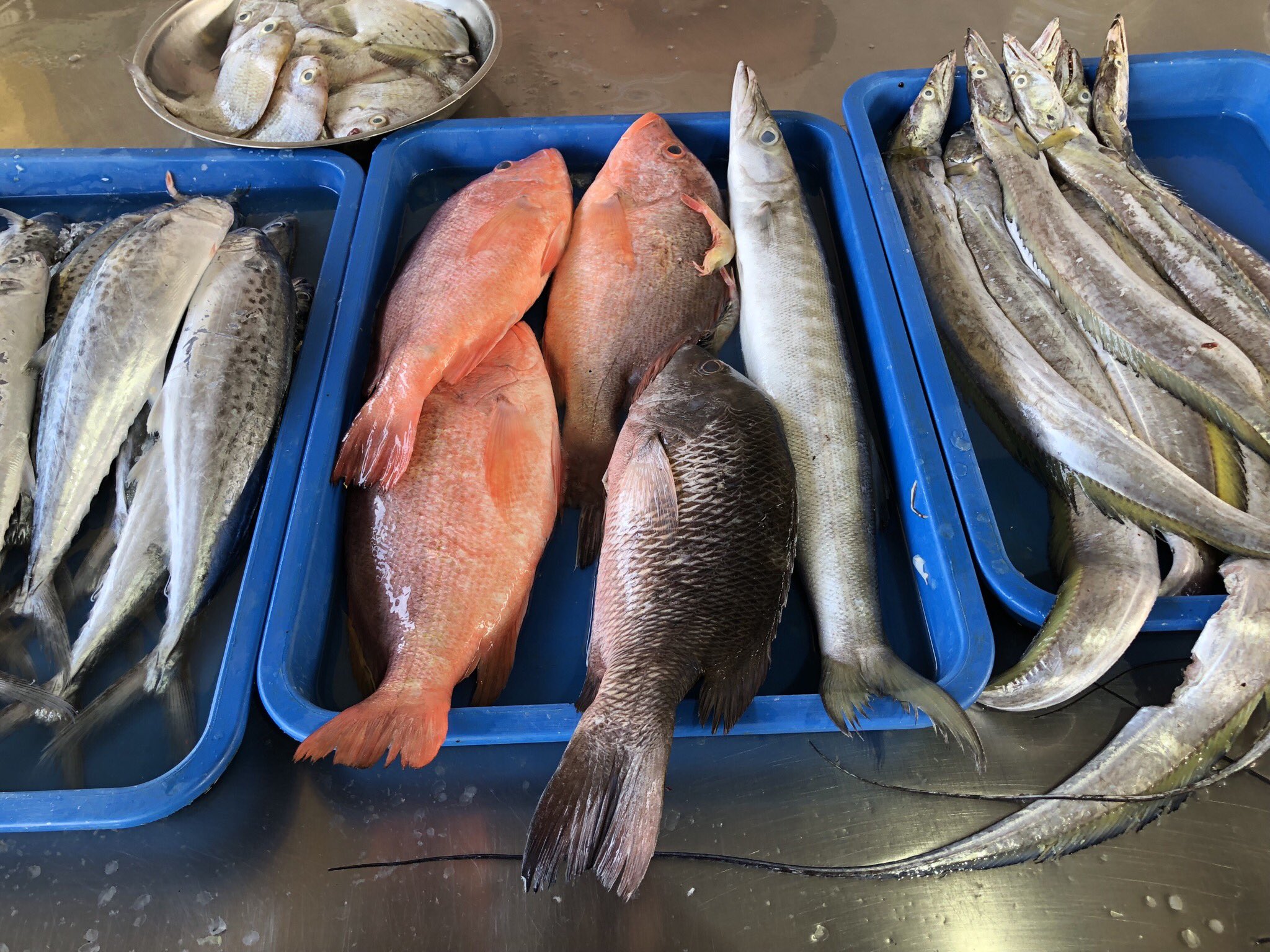 Ahmad B Maslan On Twitter Lawat Pasar Ikan Benut Ikan Segar Dari Laut Di Bawa Masuk Lalu Muara Sg Benut Harga Patut Pelbagai Jenis Awal Pagi Hingga Tghari Lambat Tiba Habis Peniaga