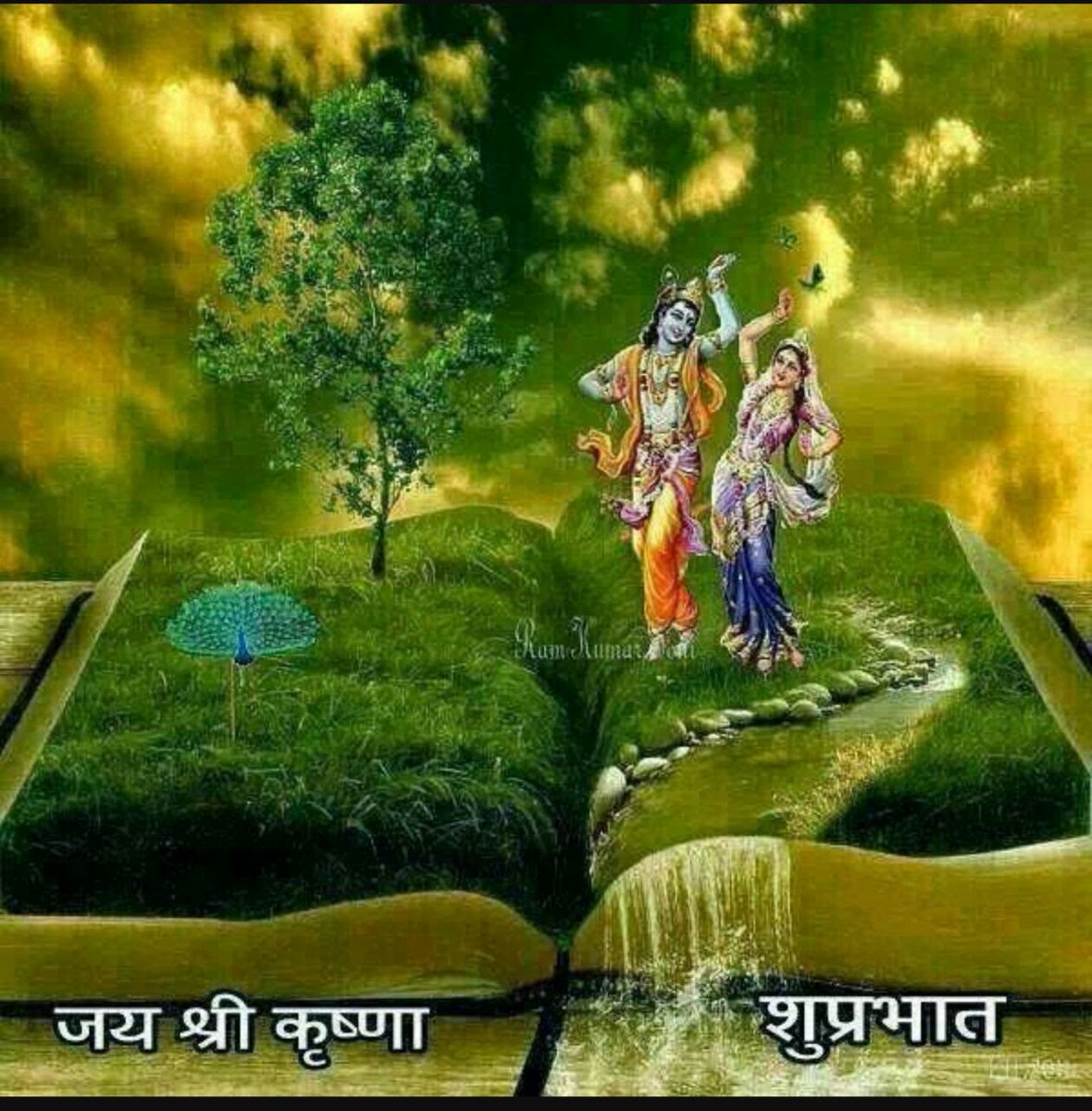 Good Morning Radhe Radhe Image 112 Radha Krishna Good Morning