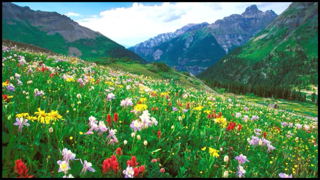 5280EAE's tweet photo. Why Colorado Is The Ideal Destination Anytime Of The Year https://t.co/gn1tNC7Smo @Forbes @Bridget_ruth #5280EAE #Colorado https://t.co/azQkjZbEvJ