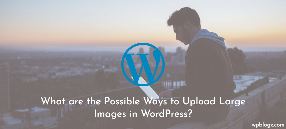 WebicleMedia tweet picture