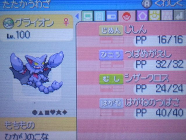 Dゆうまd A Twitteren ポケモンプラチナやってます グライオンもレベル100になりました ポケモン ポケモンプラチナ ポケモン好きさんと繋がりたい T Co 9zrufpflkw Twitter