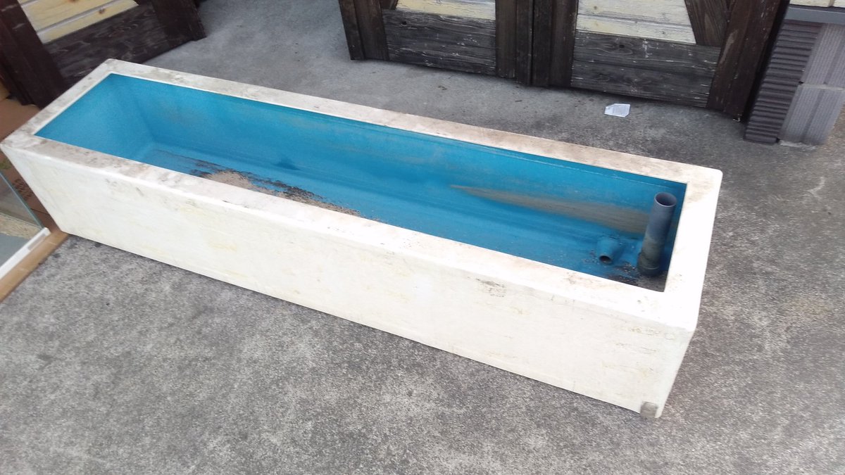 アクアショップしなの 中古frp水槽1800x450x450 9800円です 金魚のストックなどにいかがですか 予約 売約 取り置き不可 しなのコンボ 早いもの勝ちです 宜しくお願いします 当店は発送での販売はしておりません 沼 アクアショップしなの アクアショップしなの 中古frp水槽1800x450x450 9800円です 金魚のストックなどにいかがですか 予約 売約 取り置き不可 しなのコンボ 早いもの勝ちです 宜しくお願いします 当店は発送での販売はしておりません 沼 アクアショップしなの