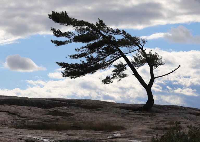 Time to start thinking about booking camping for this summer <a href="/killbearPP/">KillbearPP</a> @killbearpark. 
#ParkSmartsForKids #provincialparks #Ontario #Camping #photography