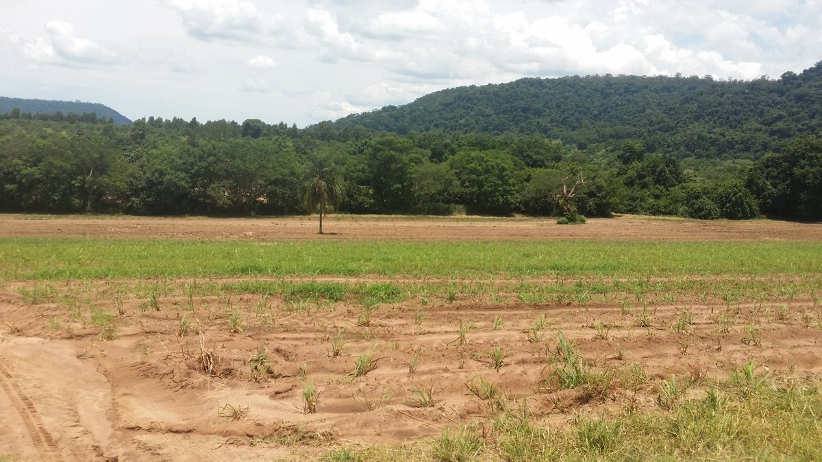 CouchWG (@couchwg) on Twitter photo 