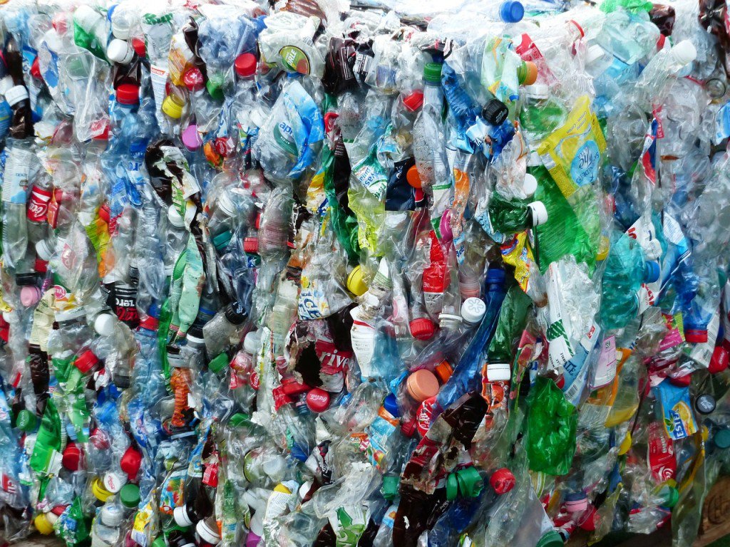 FattoAlimentare's tweet image. #Plastica, in Europa tutti gli imballaggi riciclabili o riutilizzabili entro il 2030. Le proposte sostenibili di Cuki e Rotofresh Rotochef
goo.gl/Ti3kzj