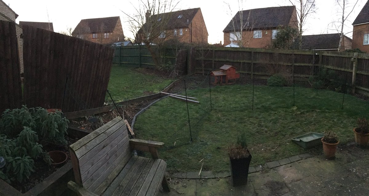 psaxton63's tweet photo. Meanwhile our garden looks like itβs doubled in size delighting Thelma and Doris π
#StormWithNoName
#FenceDown https://t.co/s6ZL0EU2G5