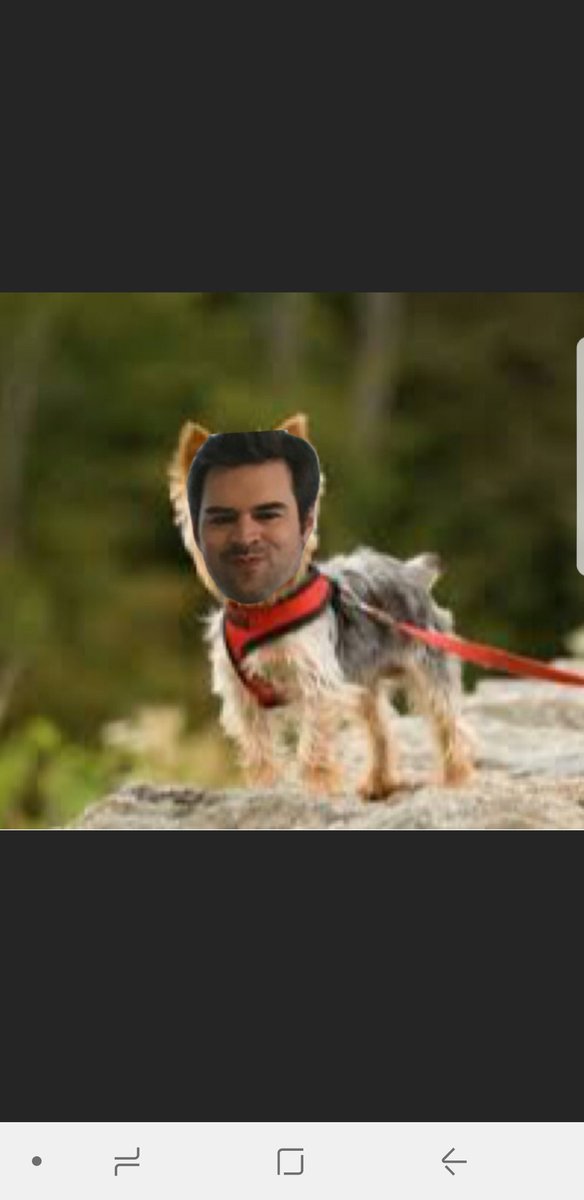 Amazon might be sold out of dog masks, but that isn't stopping Coach Shriver from doing his best Lane Johnson impression to show his support for the underdog eagles! Boy's lax meeting next Thursday 1/25