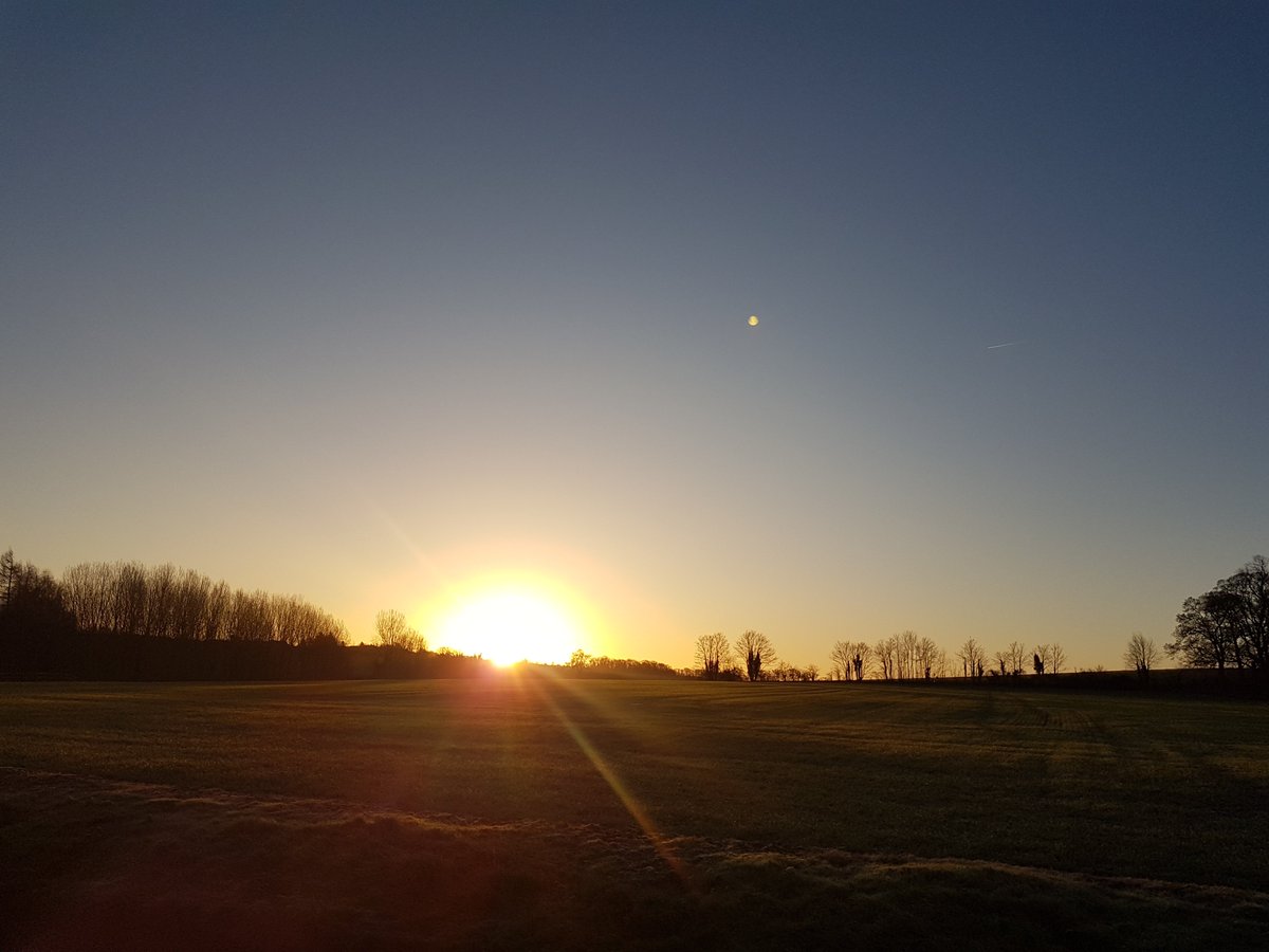 saffronicecream's tweet image. A stunning morning down on the farm today! Sunny yet frosty!

Happy Friday everyone! Enjoy your weekend.

#farmlife #farm #work #icecream #saffronwalden #food #friday #artisan #awardwinning #nature #beauty