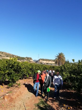 sipcam_iberia's tweet photo. En #SipcamIberia cerramos la semana sobre el terreno. Celebramos una Jornada de Campo sobre #cítricos en la Comunidad Valenciana y esta vez nos centramos en los correctores de hierro como son #StiloMicroFerrale y #FerraleEvo 🍊🍊 https://t.co/cDA3xwQNLM