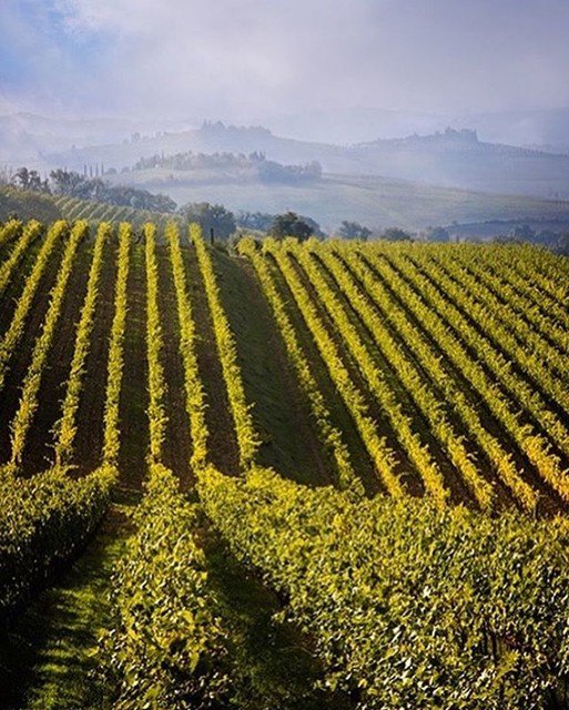 Reposting @winedestinations:
Tuscany you are beautiful! 🍇
•••
Pic cred to @scottkemperimagery. #Tuscany #Chianti #Italy #Italia #Toscana