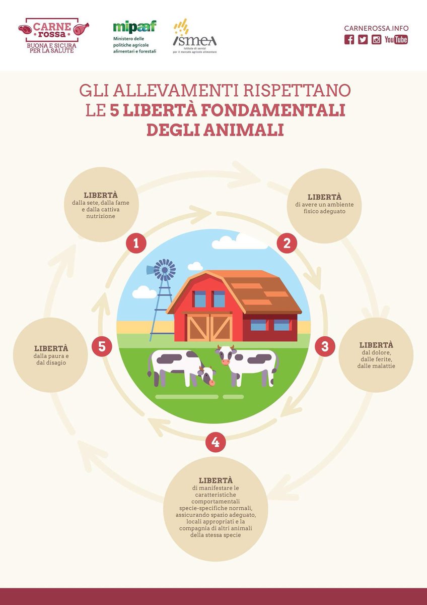 carnerossainfo's tweet photo. Gli #Allevamentisostenibili rispettano le 5 libertà fondamentali degli animali. Guarda l'infografica #Cosnala anche sul sito 👉🏻 https://t.co/zy4jfWAIyG https://t.co/NbjRDgDaty
