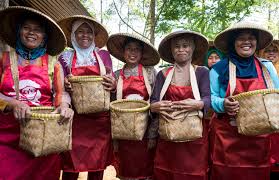 stercultuur's tweet image. ‘De Boer en de boer’ - Reis mee naar de herkomst van koffie. @SachadeBoer reist als fotograaf de wereld rond. Nespresso vroeg haar om naar Java, Indonesië, te reizen om de herkomst van koffie in beeld te brengen. Deze prachtige expositie is nu te bewonderen bij @VondelCS.
