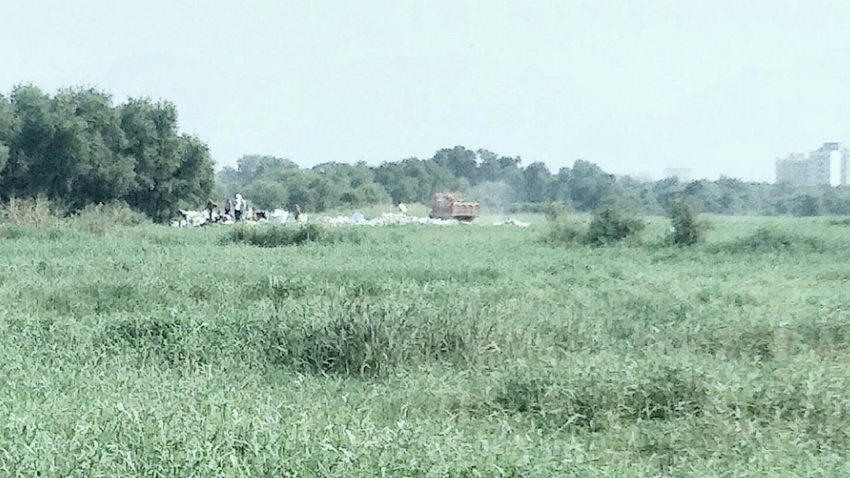 IraqiArif's tweet photo. Illegal destruction of mangroves and reclamation of land by land mafia in kausa , Thane behind kausa stadium under the eyes of the government officer's..... Inspite of high court orders..... https://t.co/SI7VPdanzo