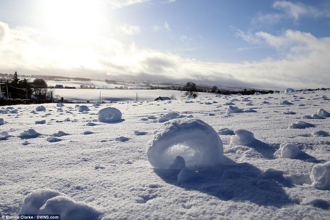 雪と風によって生じる自然現象が可愛くって話題に かわいいけど謎の形