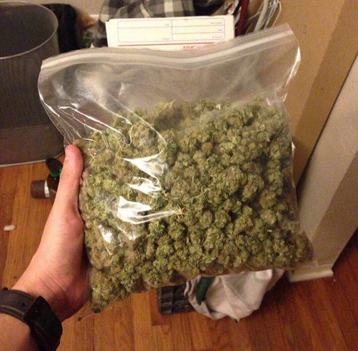 mate_got's tweet image. 