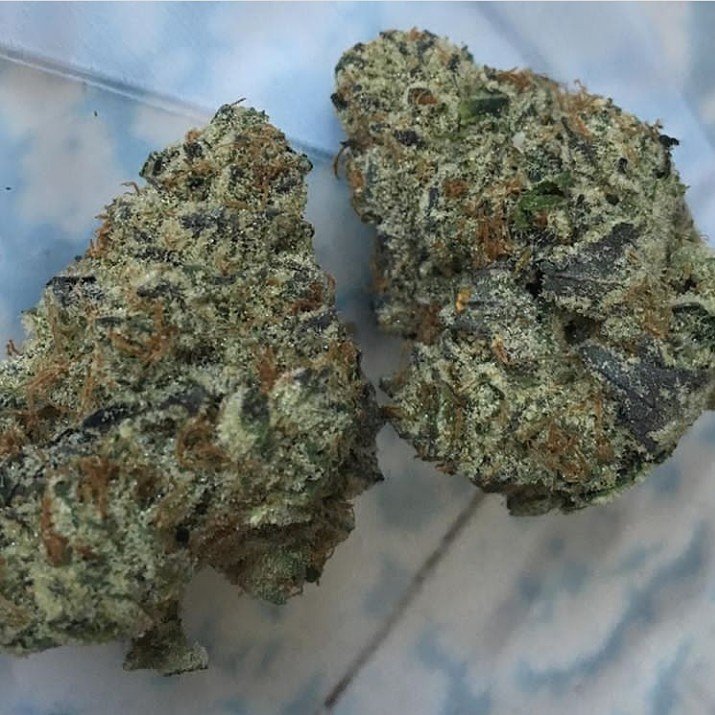 mate_got's tweet image. 