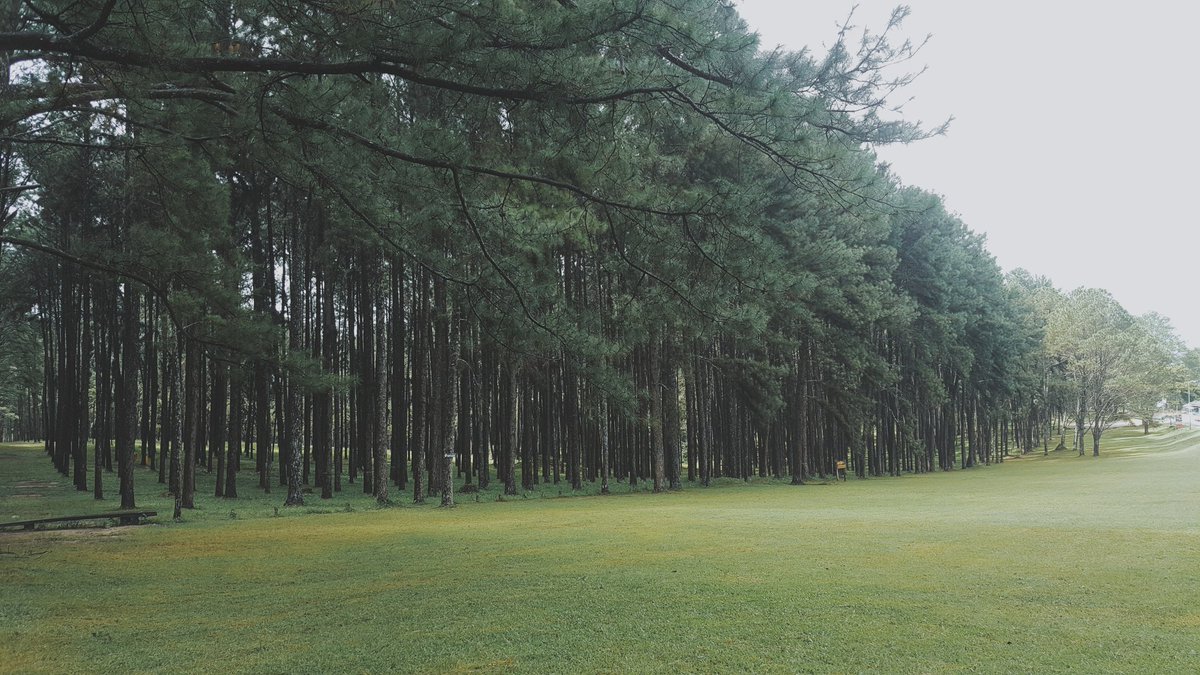 kittysomza's tweet photo. คิดถึงฮอด คิดถึงแม่โถ🍃🌿
ผักสดๆ ต้นไม้เขียวๆ กับหมอกจางๆ
#แม่โถ 
#reviewchiangmai 
#Chiangmai https://t.co/yPstUJ1LvI