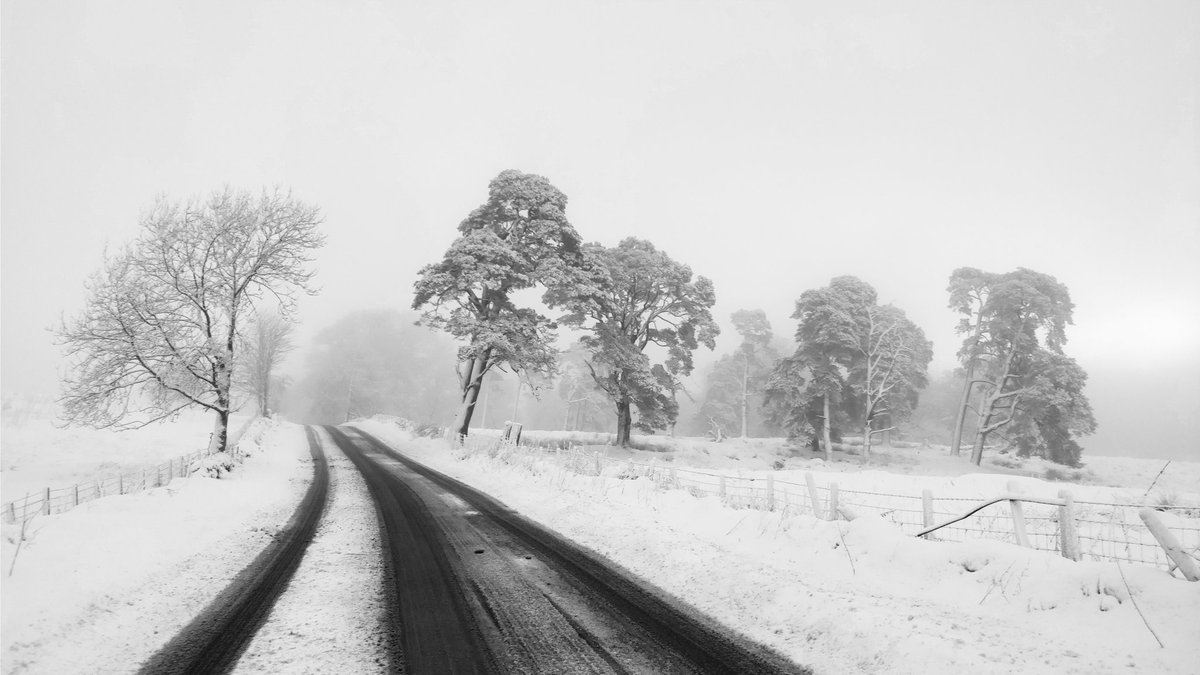 Proudfoot's tweet photo. Over the #A81 into #WildCallander @LomondTrossachs this morning https://t.co/kS17Pk3Agg