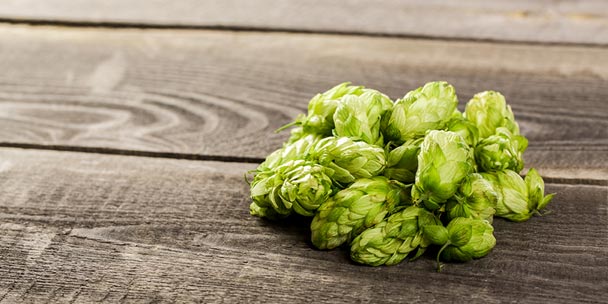 CraftProject's tweet photo. L’#Amertume, la saveur qui monte | A découvrir sur Craft Project - https://t.co/TxVshxLjew
#Biere #Foodpairing #Gout #IPA https://t.co/L4Z33oIxYO