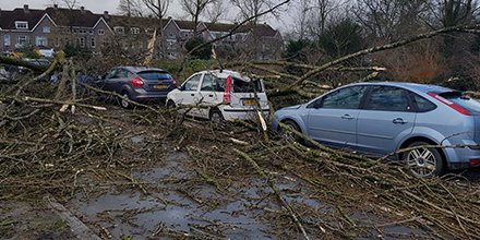 Omvallende bomen kunnen voor gevaarlijke situaties zorgen. Zo kunnen ze auto’s verpletteren of enorme schade toebrengen aan huizen: allgroenbv.nl/update-wat-te-…. Heeft u schade door een omgevallen boom? De bomen worden door Allgroen bv veilig gesteld. Bel direct met 078 61 62 837.