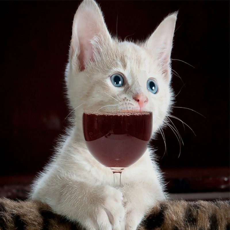 PetRemedies's tweet photo. #TGIFridays 
It's Friday!
Take a rest!
Have a drink! https://t.co/2yEiUQk0WB