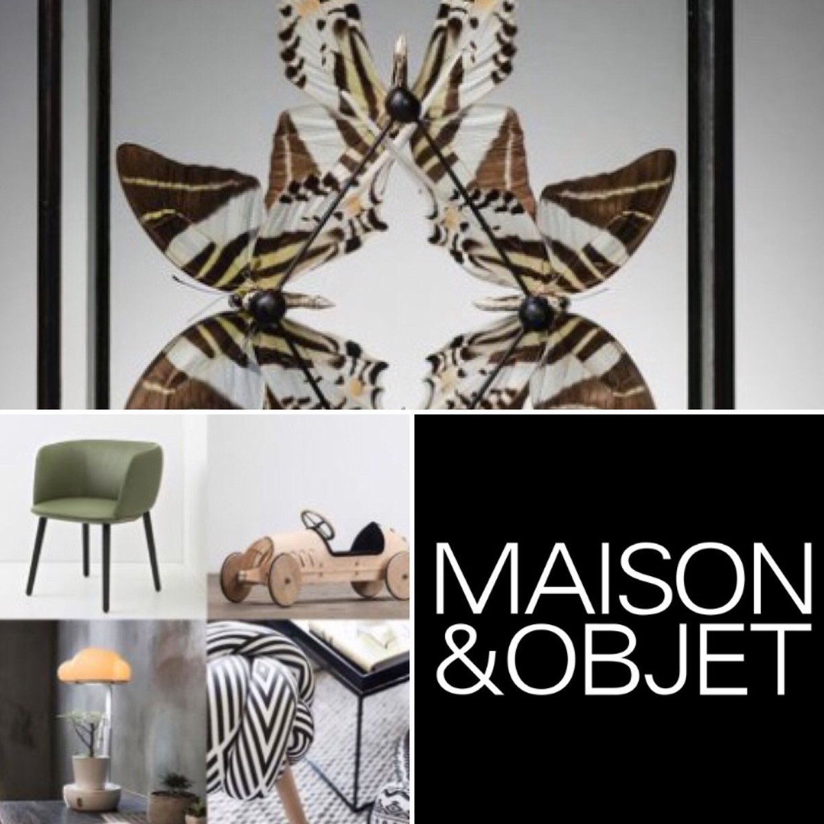 Visite Deco tweet media