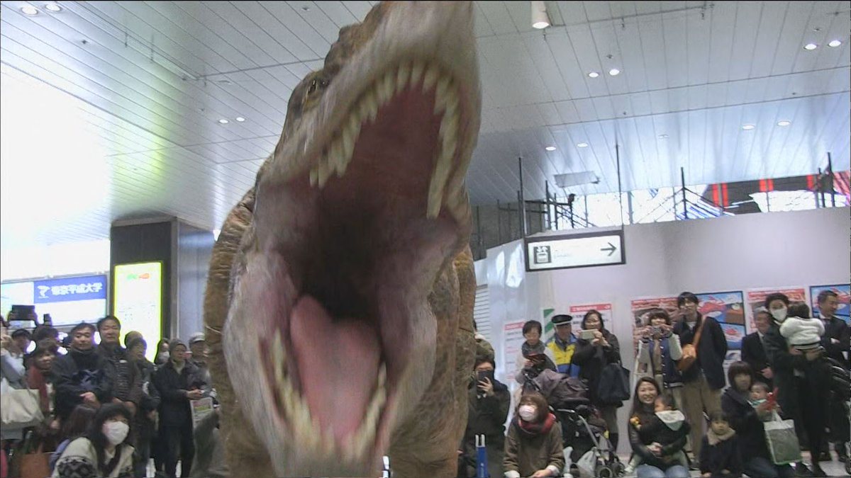 おじゃまっテレ Pa Twitter きょうのニュース フクイラプトルが埼玉県のjr大宮駅に出現 首都圏の駅にリアルに動く恐竜 が登場し インパクト抜群のショーで恐竜王国福井をアピールしています 動画はこちら T Co K1yv2rrk9i おじゃまっテレ 福井 おじゃまっテレ Pa Twitter きょうのニュース フクイラプトルが埼玉県のjr大宮駅に出現 首都圏の駅にリアルに動く恐竜 が登場し インパクト抜群のショーで恐竜王国福井をアピールしています 動画はこちら T Co K1yv2rrk9i おじゃまっテレ 福井