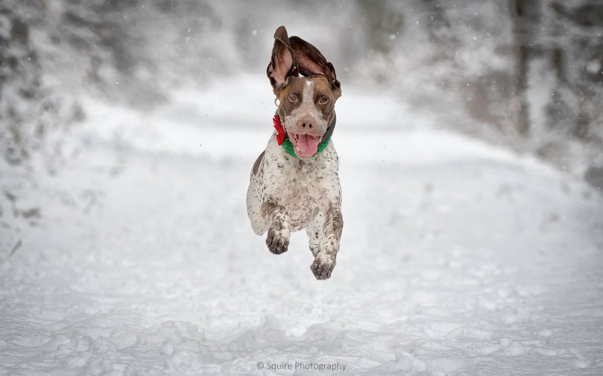 Durham Constabulary tweet media