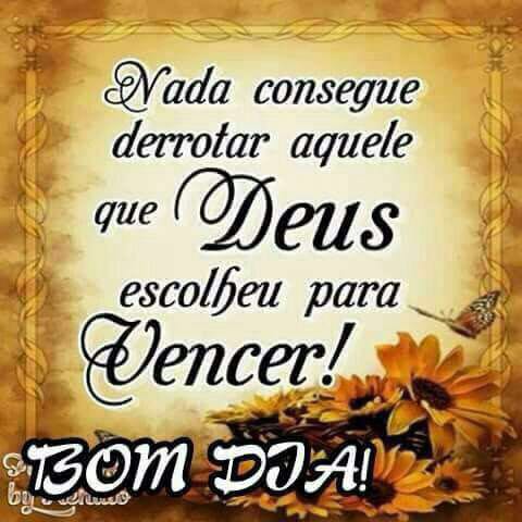 geniltosouza's tweet image. 