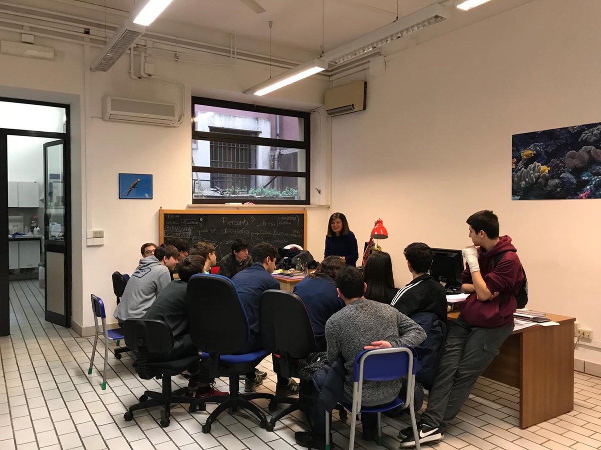 FilGius's tweet photo. Al #MuseoCivicoZoologia primo giorno di "alternanza scuola lavoro" per una classe dello scientifico del @LiceoMamiani 
Buon lavoro agli studenti e agli zoologi coinvolti nel progetto!
@Sovrintendenza  @museiincomune https://t.co/RF9RmAzSjM