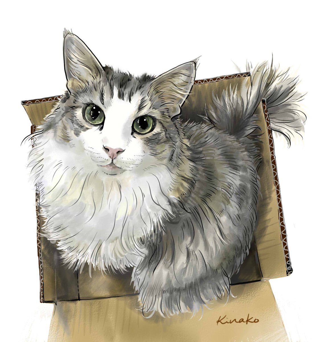 きなこ 猫の絵を描いています En Twitter Miel Theo 永遠のregulus さんのテオ君 お目目キラキラ の イケメンです 昨日に続いて 段ボールと猫ちゃん のイラストです どうして 猫ってこんなに段ボールが好きなんでしょう