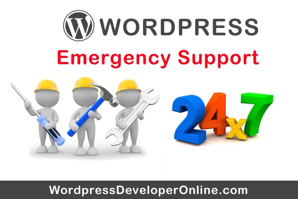 wpdeveloperlive's tweet image. Have an emergency situation with your wordpress site?
Contact us immediately : +91 9737971210 (WhatsApp)
We are skilled, highly experienced Wordpress developers and trouble-shooters ready to help you 24x7
Visit: goo.gl/ngV2Jz
eMail : info@wordpressdeveloperonline.com