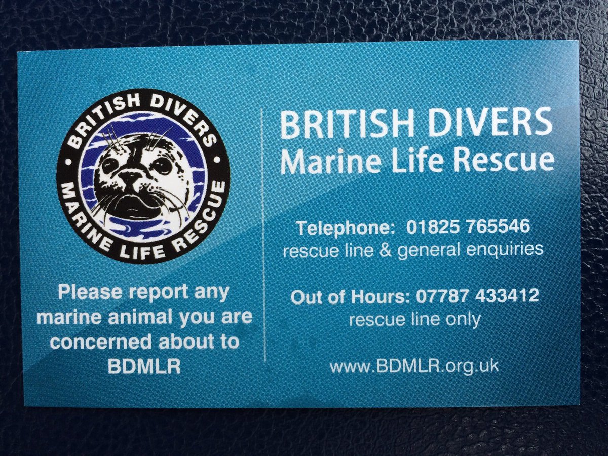 RadioHumberside's tweet image. If you see a seal, dolphin, porpoise or whale in distress on the beach this weekend these are the people to call: