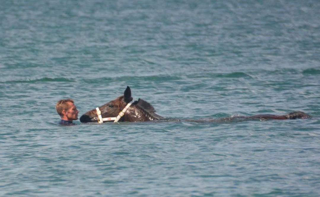 Entraîneur en Martinique 🌞 depuis 1 an1/2, l'ancien jockey Karl Martin teste un entrainement bien îlien. Nager 🏊pendant 8 min avec son partenaire, en se laissant flotter, pieds posés sur son portail. Ici, il se faisait la main avec un trotteur avant de l'appliquer à ses purs.🏇