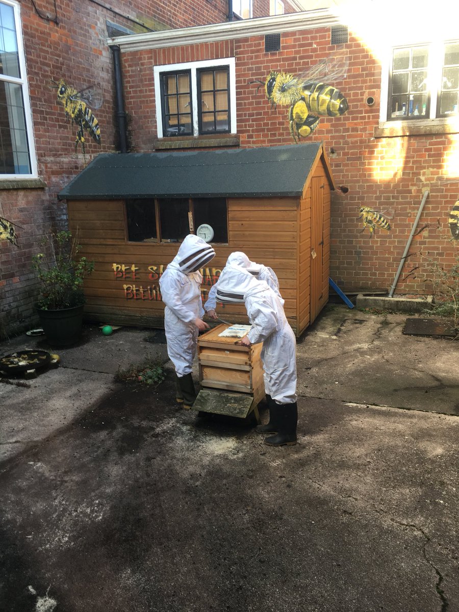 The children just checking that all is well with our bees 🐝 #beekeeping
