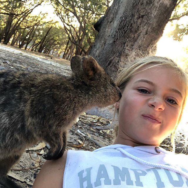 APieceofPerth's tweet photo. Give us a kiss 😘 #quokkaselfie https://t.co/5ehdM6k06a https://t.co/0YtPwXfHFM