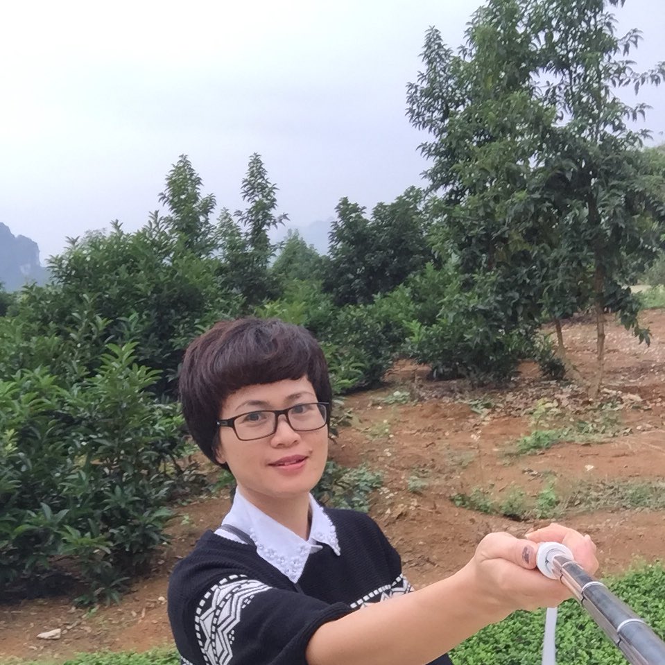 Kieu Ninh tweet media