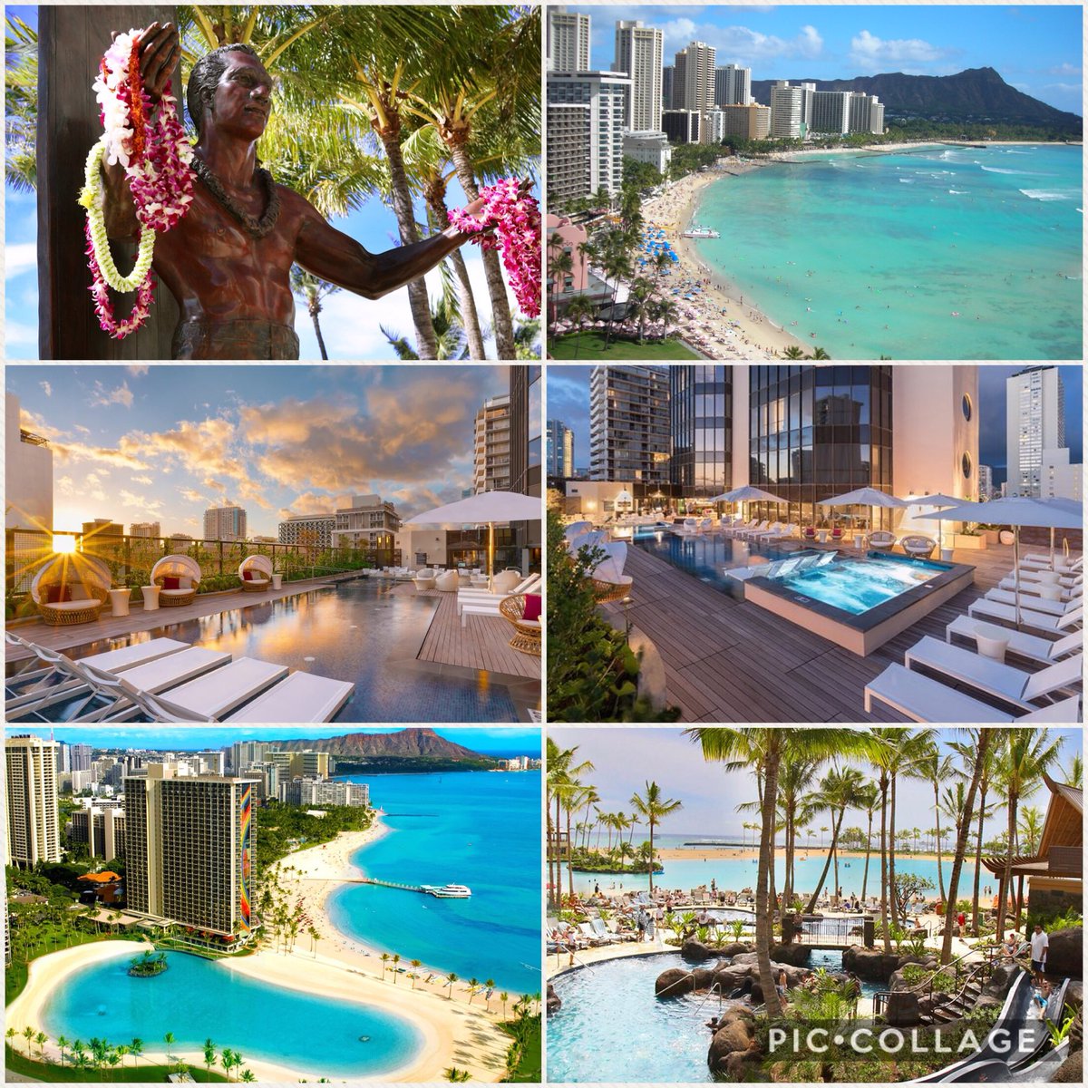 Versakini tweet media