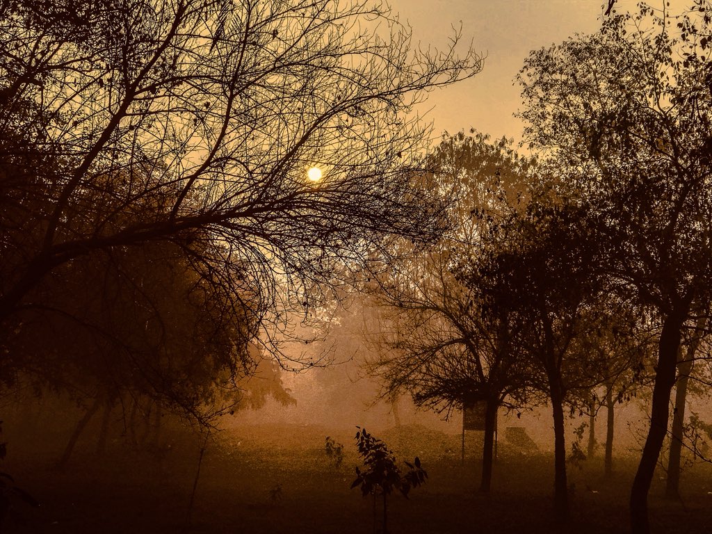 click_ind99's tweet image. In nature, everything has a job. The job of the fog is to beautify further the existing beauties!-(Mehmet Murat ildan) #morning #view #fog #foggymorning in #delhi #newdelhi .
#nature #shotoniphone #mobilephotography @Apple