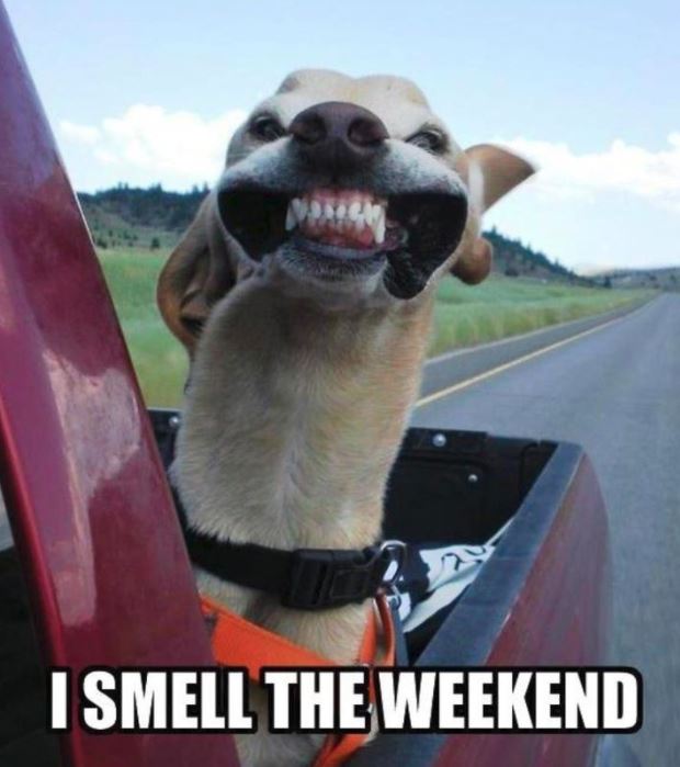 NaiGoddard's tweet photo. FRIDAY!!! #nairocks #fridayfeels #nailove #finallyfriday https://t.co/ttBwXsVBun