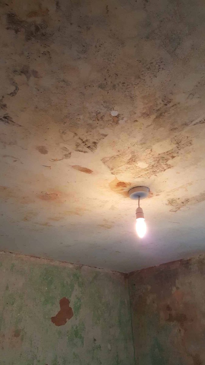 Skim Plastering Skimplastering Twitter