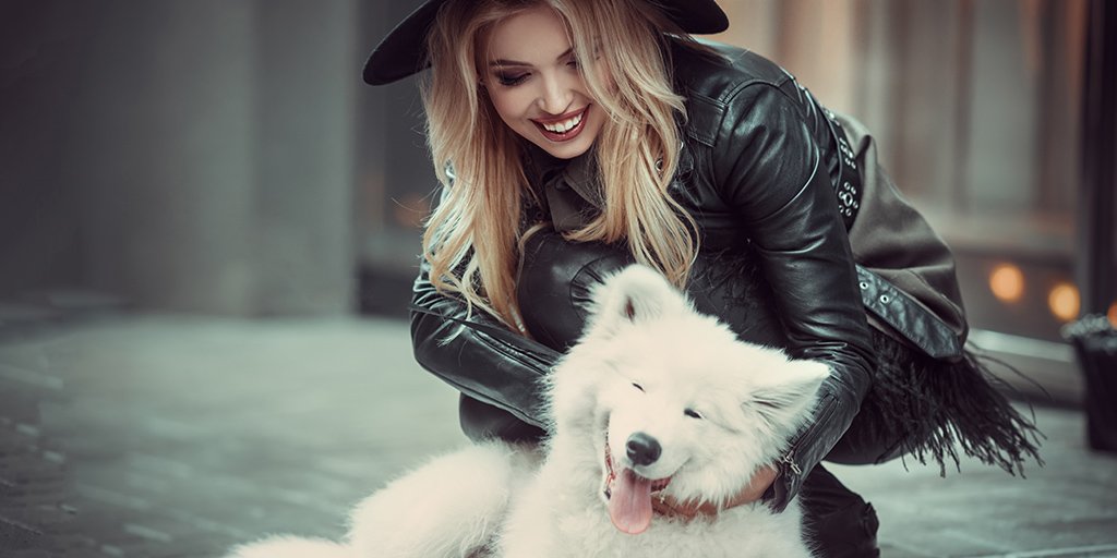 bestwestern's tweet photo. Pets. Get. Rewarded. at over 1,600 #PetFriendly BW locations. #RewardsLife https://t.co/Ml62iimZSB https://t.co/RjM9b1jwRL
