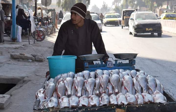 AlexFrancise's tweet photo. Fish seller in Southern Kandahar city of Afghanistan. We are lucky because still the #Optimism is stronger among ordinary people. https://t.co/Zk6GdEzbh7