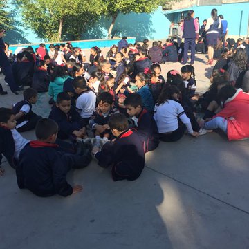 Ver imagen en Twitter