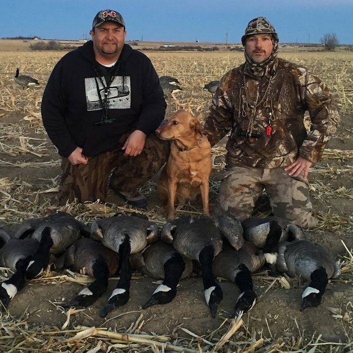 Fin Feather and Bone tweet media