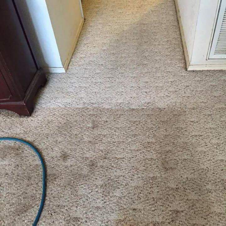 dannyblue147's tweet image. One of last weeks carpet job and a very happy client. Restore your carpet back to new. Hayes carpet and upholstery cleaning services. Call or inbox for your free quote.